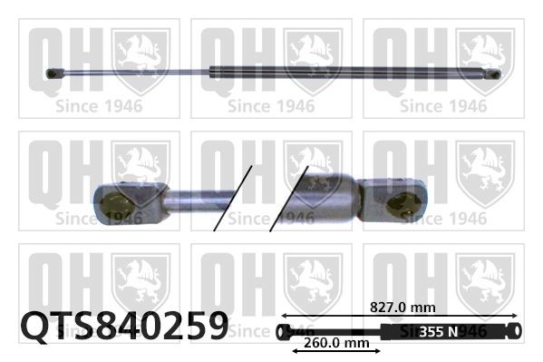 Gasveer achterklep QUINTON HAZELL QTS840259 QUINTON HAZELL QTS840259 Achterklep veren OPEL TIGRA 2005