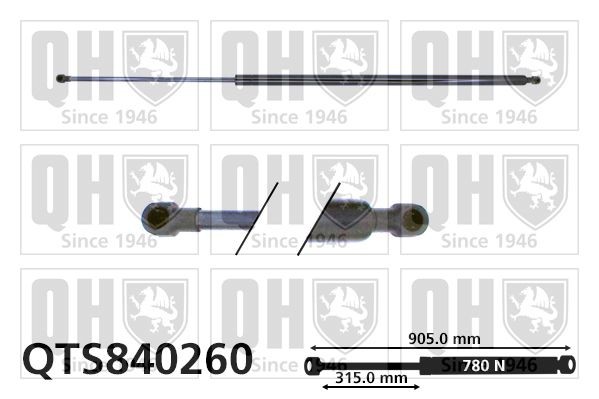 Pneumatická prużina, Batożinový / nákladný priestor QUINTON HAZELL QTS840260 QUINTON HAZELL QTS840260 Vzpery kufra RENAULT TRAFIC 2000