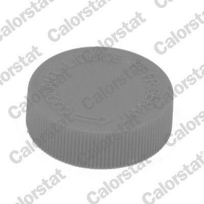 CALORSTAT by Vernet Koelvloeistof dop RC0184 CALORSTAT by Vernet RC0184 Koelvloeistof dop Mazda 6 Sedan GH aan een voordelige prijs