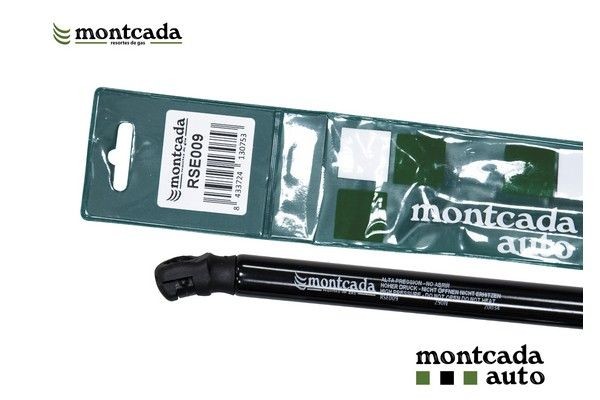 Montcada Gaasivedru, pagasi- / veoruum RSE009 RSE009 Montcada Tagaluugi amort Dacia odav