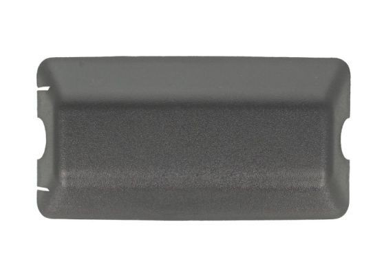 PACOL Tildekning, sidespeil RVI-MR-016 Speildeksel LAND ROVER PACOL RVI-MR-016