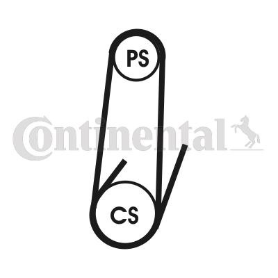 CONTITECH Keilrippenriemen 4PK711 ELAST 4PK711 ELAST CONTITECH Ford Transit Mk5 Bus Keilrippenriemen Kosten