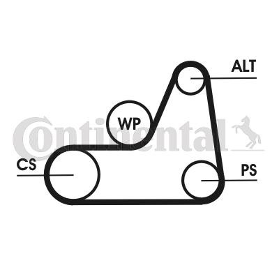 Poly V-riem set CONTITECH 6PK1042 ELAST T1 CONTITECH 6PK1042 ELAST T1 Poly v riemen kit Ford FIESTA 2008