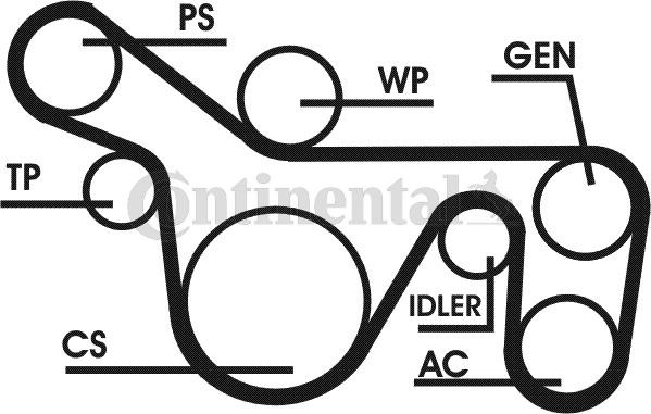 CONTITECH Kit Cinghie Poly-V 6PK1720D1 CONTITECH 6PK1720D1 Kit cinghie poly-v BMW X3 costo