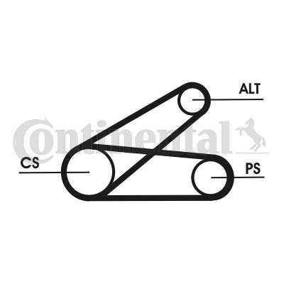 CONTITECH Ozubený klinový remeň - Sada 6PK873 ELAST T1 6PK873 ELAST T1 Sada klinového rebrovaného remena FIAT MULTIPLA CONTITECH