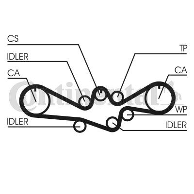 CONTITECH Cinghia dentata CT1050 CONTITECH CT1050 Cinghia motore Subaru Forester SJ prezzo