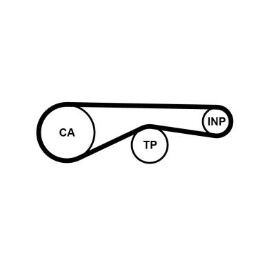 CONTITECH Correia dentada CT1095 Correia dentada Audi 4L CT1095 CONTITECH