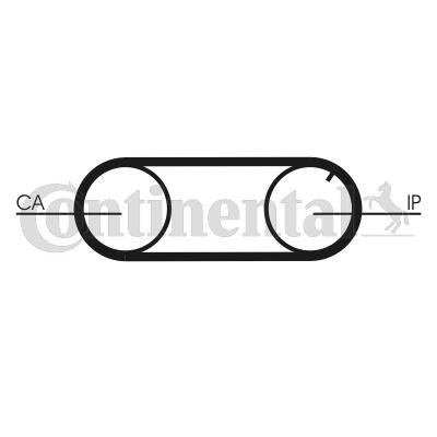 CONTITECH Tandrem CT641 CONTITECH CT641 VW LT 55 Ladvogn Tandrem originale pris
