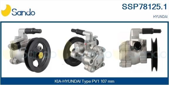 SANDO Αντλία υδραυλικού τιμονιού SSP78125.1 SANDO SSP78125.1 Αντλία υδραυλικού τιμονιού Elantra III Sedan (XD) τιμες