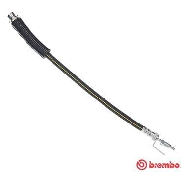 BREMBO Bremžu šļūtene T 24 146 BREMBO Essential T 24 146 Bremžu šļūtene