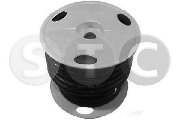 STC Tuyau de carburant T400354 Conduite à haute pression injection STC 1007 T400354 pas cher