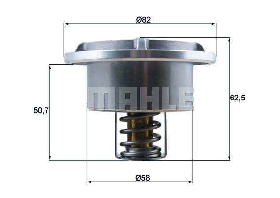 BEHR THERMOT-TRONIK Termostat, kjølemiddel TI 41 89 Termostat BEHR THERMOT-TRONIK Renault 11 TI 41 89