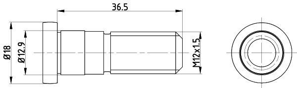 MINTEX Bolt, brake disc TPM0019 Mazda MX-3 MINTEX bolt, brake disc TPM0019