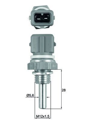 MAHLE Sensore, Temperatura refrigerante TSE 19 TSE 19 Bulbo temperatura motore MAHLE Iveco