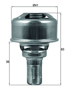 MAHLE Termostat, kølemiddel TX 174 86 Termostat kølemiddel MAHLE Dacia SOLENZA TX 174 86
