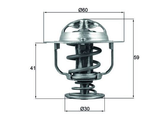 MAHLE Termostat chladenia TX 177 82D MAHLE TX17782D Termostat Hyundai Santa Fe cm cena