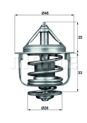 BEHR THERMOT-TRONIK Thermostat d'eau TX 87 77D TX 87 77D Thermostat d'eau NISSAN GT-R BEHR THERMOT-TRONIK
