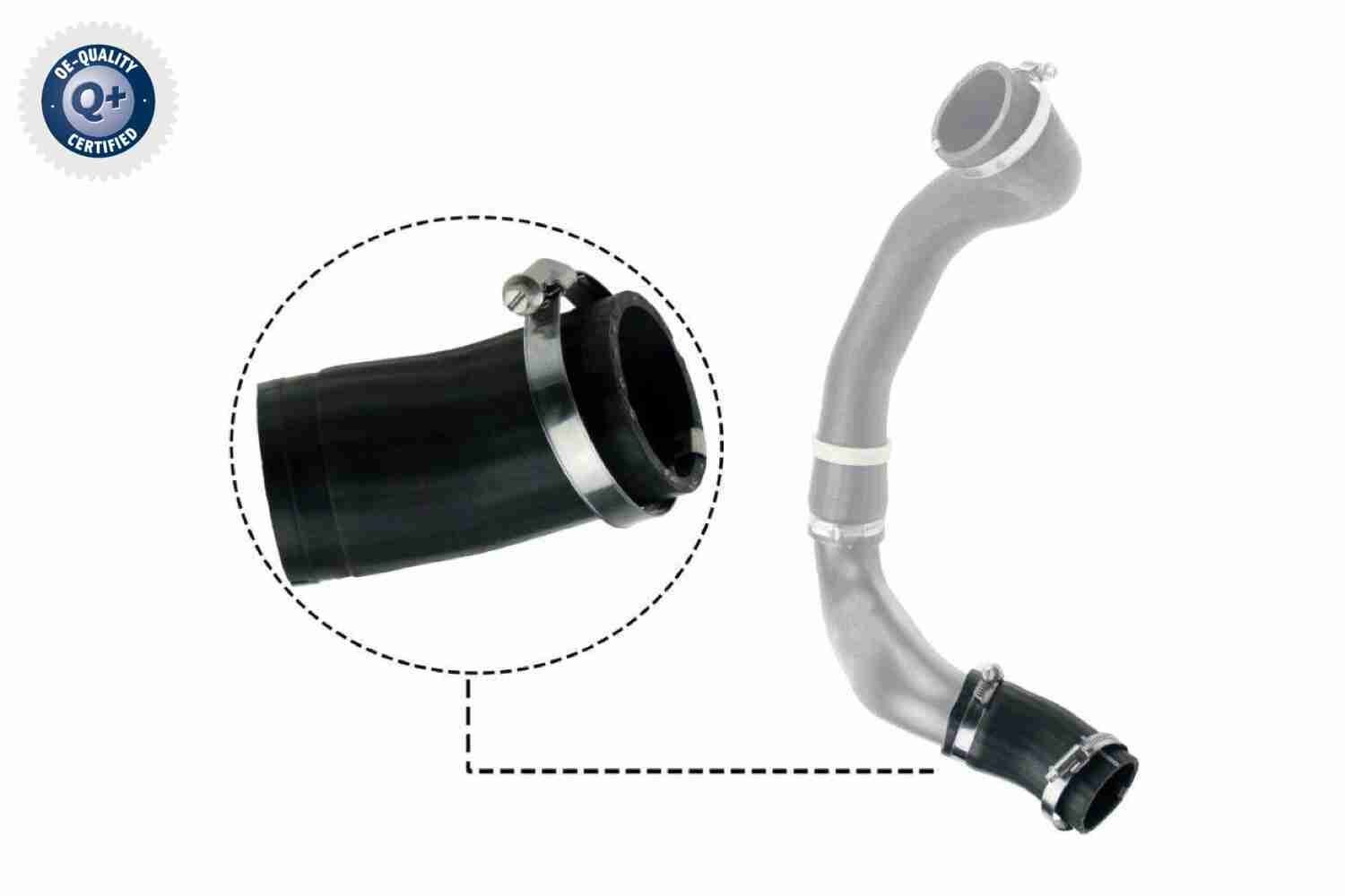 VAICO Kompressoriõhuvoolik V48-0186 Laadimisõhu voolik VAICO RANGE ROVER EVOQUE V48-0186 odav