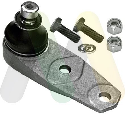 MOTAQUIP Kande- / juhtliigend VSJ739 VSJ739 Šarniir RENAULT TRAFIC MOTAQUIP