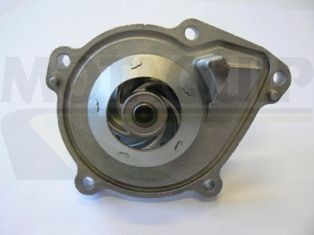 MOTAQUIP Waterpomp VWP923 Volkswagen POLO Koelvloeistofpomp MOTAQUIP VWP923