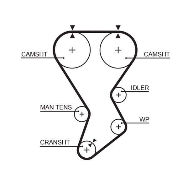 GATES Registerrem 5351XS GATES 5351XS originale Reg reim Persona 300 Compact hva koster