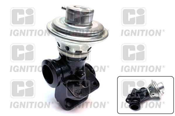 QUINTON HAZELL Válvula EGR XEGR38 Válvula egr Citroën 244 XEGR38 QUINTON HAZELL