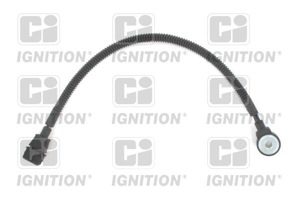 QUINTON HAZELL Capteur de cliquetis XKS96 QUINTON HAZELL Capteur de cognement XKS96 expérience