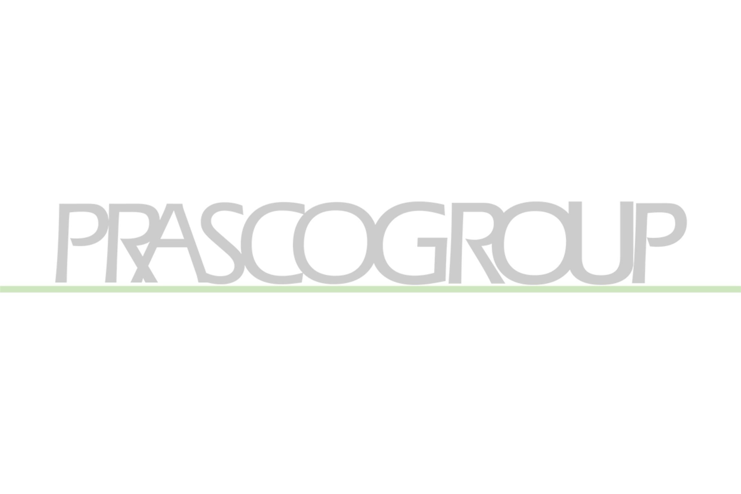 PRASCO Hjulskjerm VG0533044 pris Skvettskjerm Volkswagen 3B3 VG0533044 PRASCO