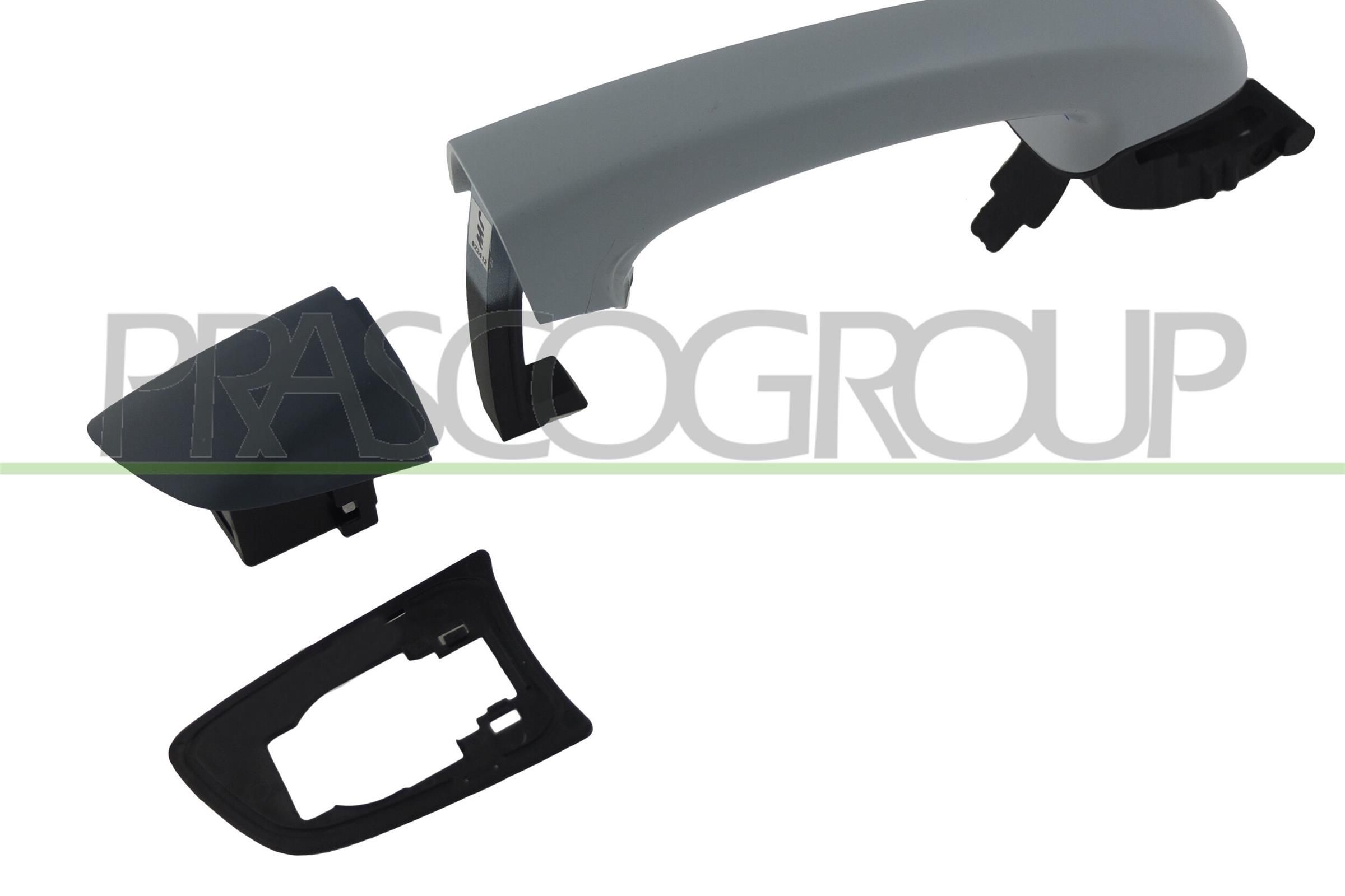 PRASCO Durvju rokturis VG1018003 Durvju rokturis PRASCO Volkswagen BEETLE VG1018003