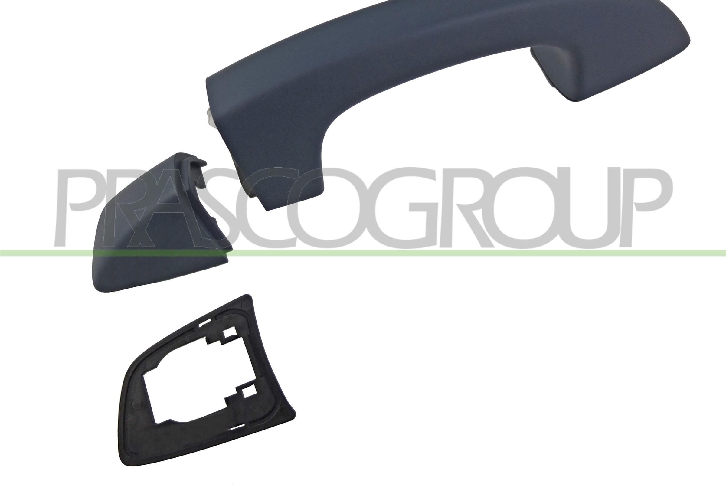 Maniglia porta PRASCO VG1018004 PRASCO VG1018004 Maniglia posteriore e anteriore Seat ALHAMBRA 2019