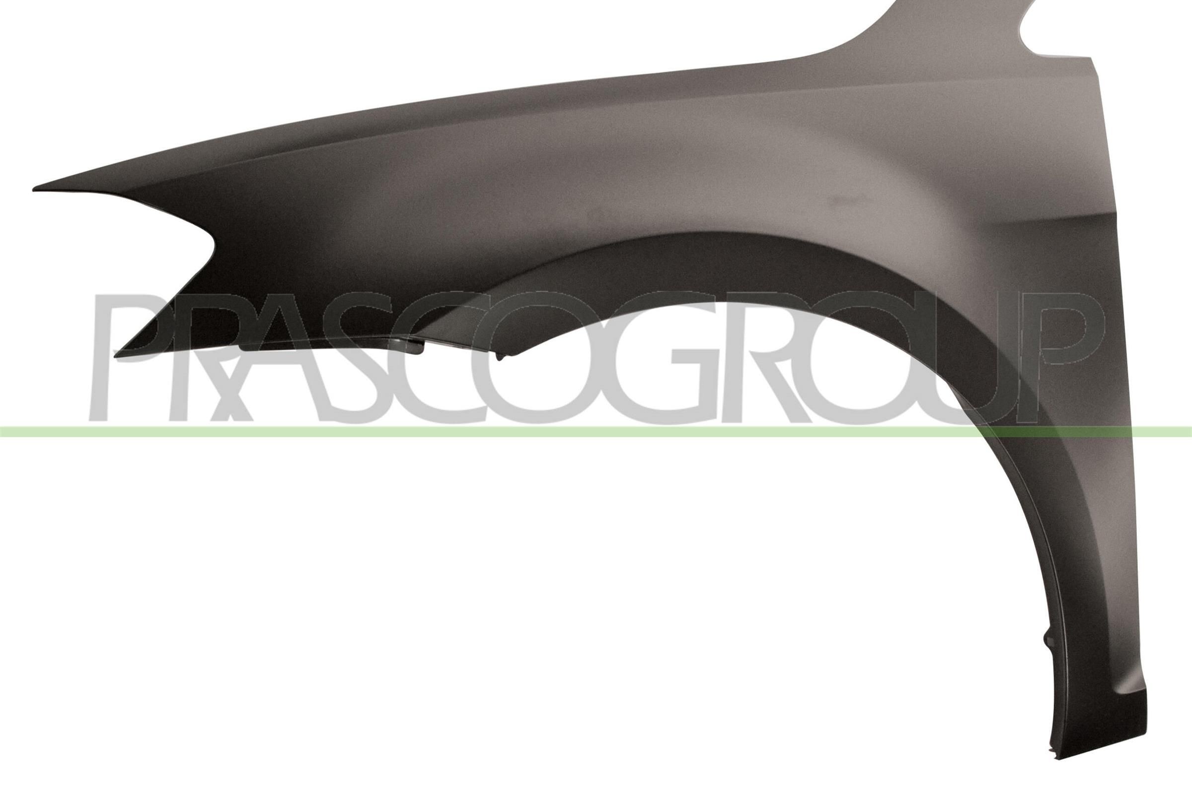 PRASCO Parafango VG4003004 VG4003004 costo Parafango PRASCO Volkswagen TIGUAN