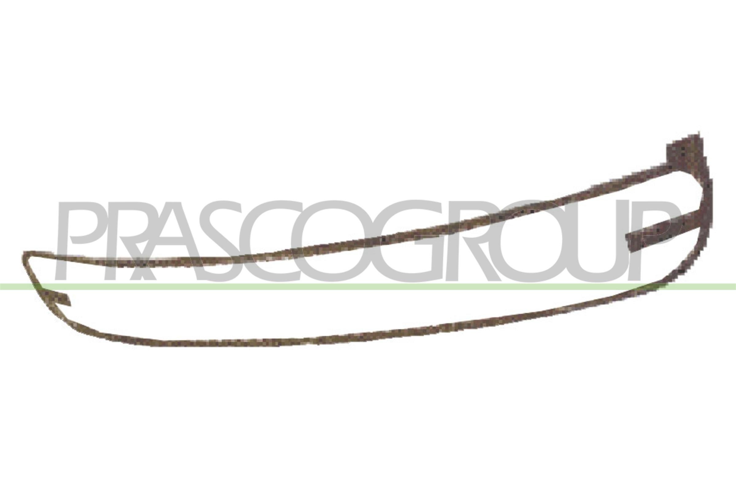 PRASCO Rebordo, grelha de radiador VG4202315 PRASCO VG4202315 Rebordo, grelha de radiador