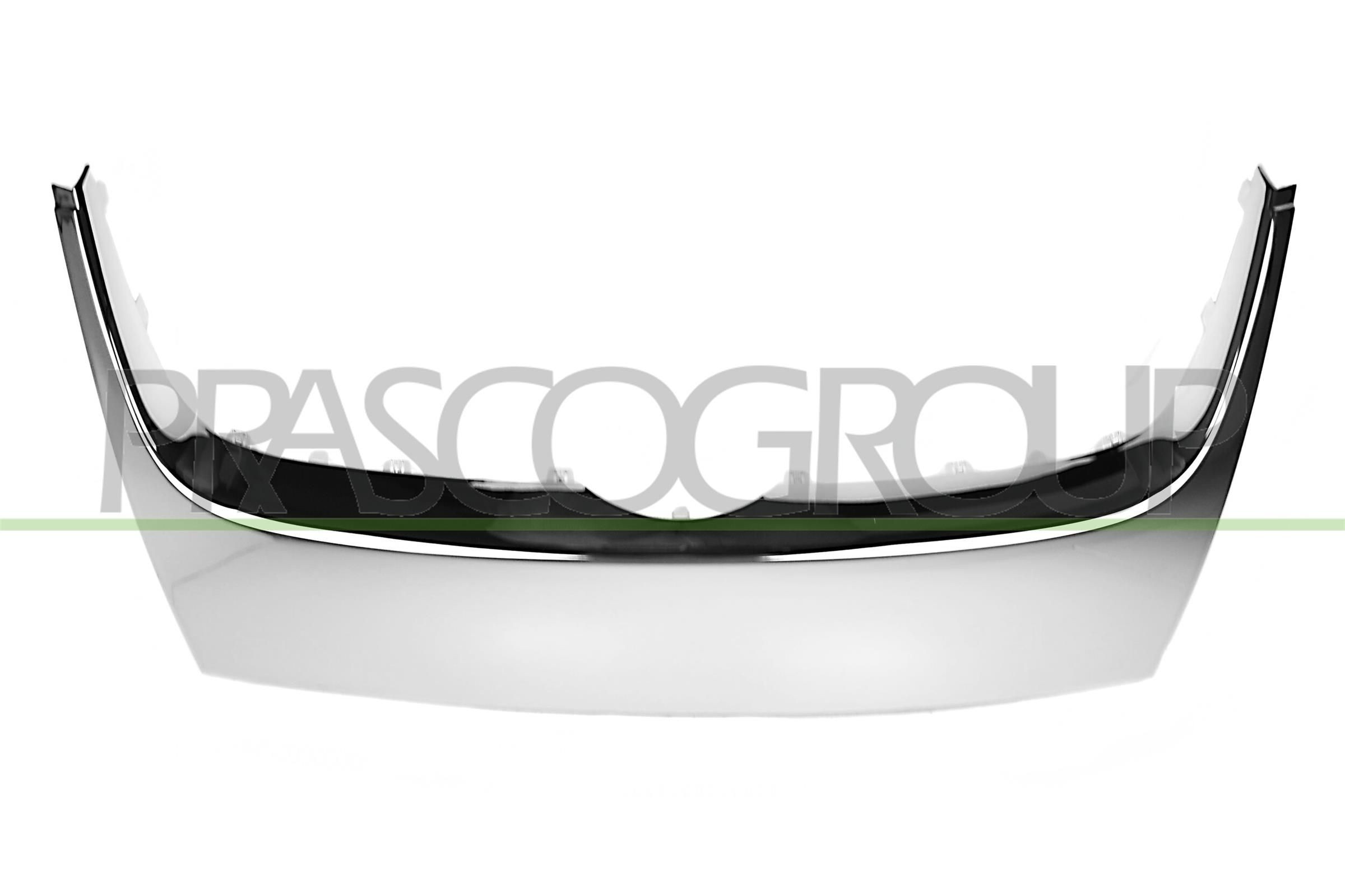 PRASCO Zier- / Schutzleiste, Kühlergitter VG5202206 PRASCO VG5202206 Zier- / Schutzleiste, Kühlergitter