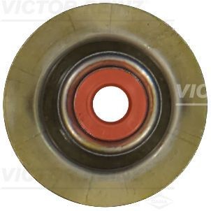 REINZ Blīvgredzens, Vārsta kāts 70-13384-00 70-13384-00 REINZ Blīvgredzens vārsta kāts Chevrolet lēti