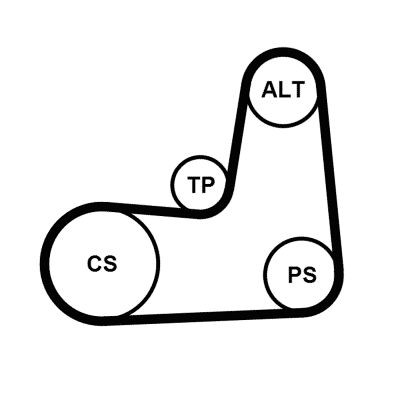 CONTITECH Poly V-riem set 5PK1135K2 Nissan CABSTAR E Poly v riemen kit CONTITECH 5PK1135K2