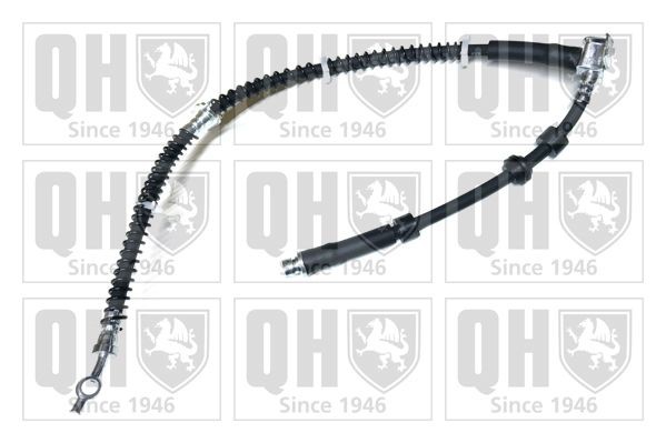 Remslang QUINTON HAZELL BFH6057 QUINTON HAZELL BFH6057 Remslangen achter links Land Rover DISCOVERY 2012