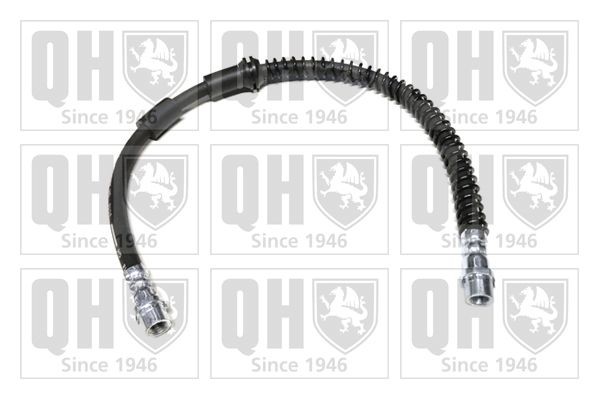 QUINTON HAZELL Remslang BFH6099 Remslangen AUDI QUINTON HAZELL BFH6099