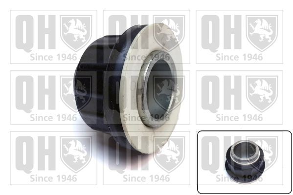 QUINTON HAZELL Supporto braccio oscillante EMS8675 EMS8675 Silent block braccio oscillante PORSCHE PANAMERA QUINTON HAZELL costo