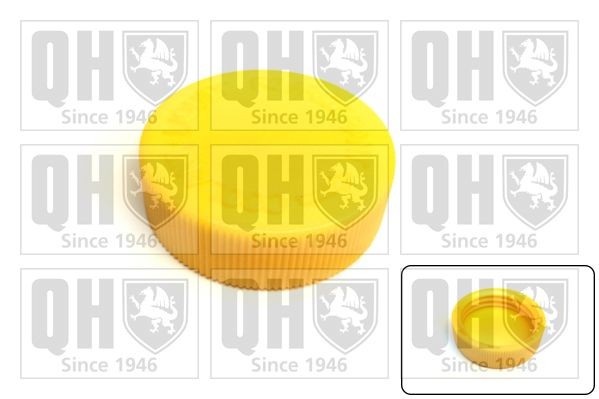 QUINTON HAZELL Verschlussdeckel, Kühlmittelbehälter FC556 FC556 Verschlußdeckel Kühlmittelbehälter NISSAN PATROL QUINTON HAZELL kaufen