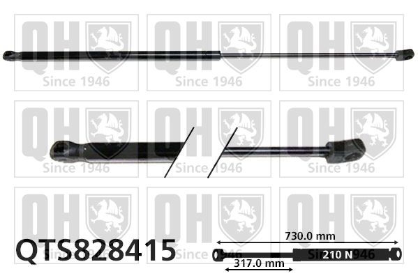 QUINTON HAZELL Bonnet strut QTS828415 QUINTON HAZELL QTS828415 V40 Estate bonnet struts price