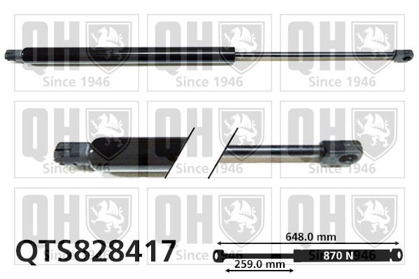 Bagklapsdæmper QUINTON HAZELL QTS828417 QUINTON HAZELL QTS828417 Støddæmper til bagklap FORD TOURNEO CUSTOM 2021
