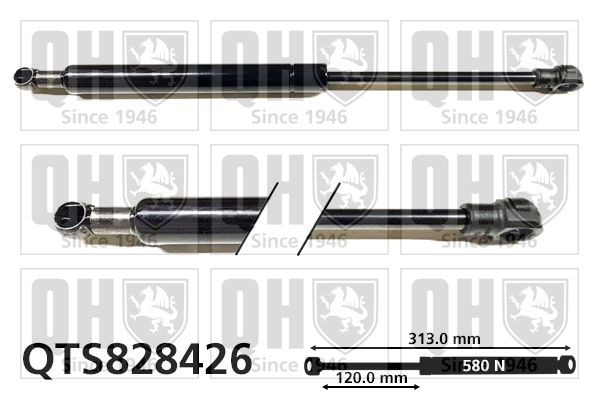 QUINTON HAZELL Gassfjær, motorpanser QTS828426 QUINTON HAZELL Panser gassfjær VOLVO QTS828426
