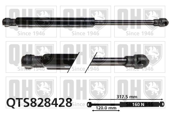 Ammortizzatore pneumatico, Lunotto posteriore QUINTON HAZELL QTS828428 QUINTON HAZELL QTS828428 Ammortizzatore portellone posteriore Toyota HILUX Pick-up 1999