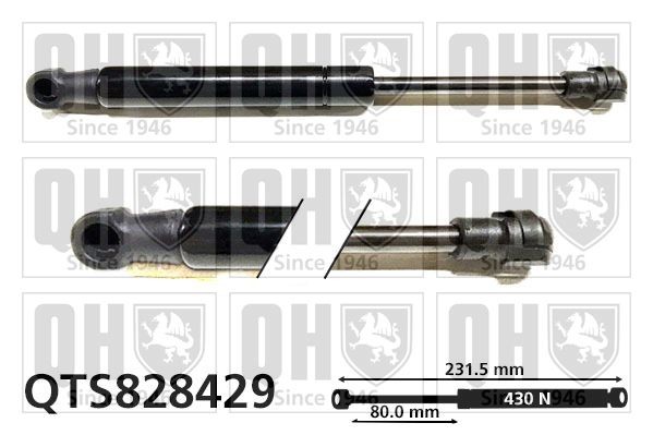 Gāzes atspere, Bagāžas / Kravas nodalījuma vāks QUINTON HAZELL QTS828429 QUINTON HAZELL QTS828429 Bagāžnieka amortizatori CHRYSLER CROSSFIRE 2003