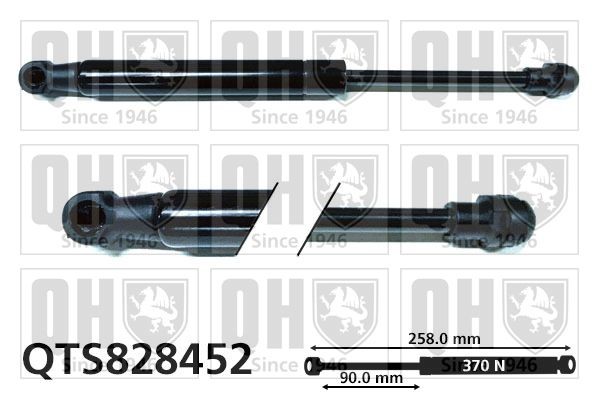QUINTON HAZELL Gāzes atspere, Bagāžas / Kravas nodalījuma vāks QTS828452 QUINTON HAZELL QTS828452 Bagāžnieka amortizatori VW Golf 6 Cabrio par izdevīgu cenu