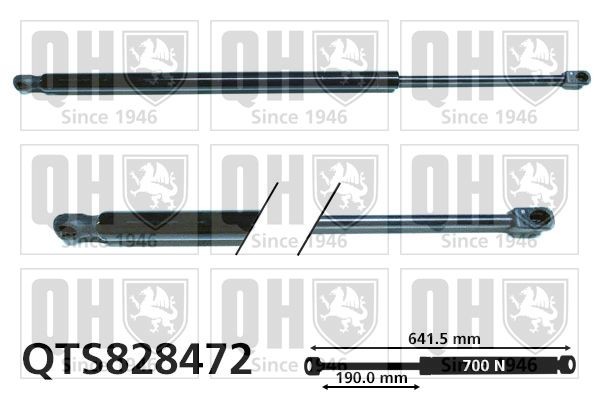 QUINTON HAZELL Bagklapsdæmper QTS828472 Gasdæmper bagklap QUINTON HAZELL Chevrolet MATIZ QTS828472