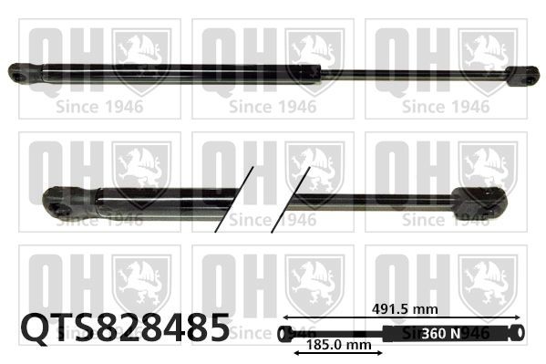 QUINTON HAZELL Gaasivedru, pagasi- / veoruum QTS828485 QUINTON HAZELL QTS828485 Tagaluugi amort Jimny IV SUV (A6G) originaal hind