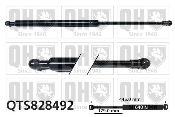 Bagklapsdæmper QUINTON HAZELL QTS828492 QUINTON HAZELL QTS828492 Støddæmper til bagklap Toyota PRIUS 2012