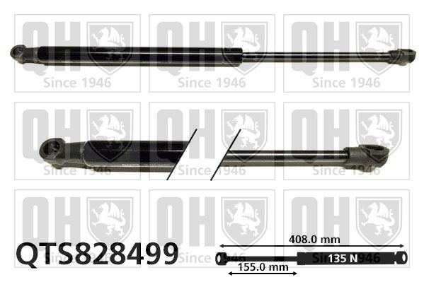 QUINTON HAZELL Gasveer achterklep QTS828499 Gasveer kofferbak Smart 450 QTS828499 QUINTON HAZELL
