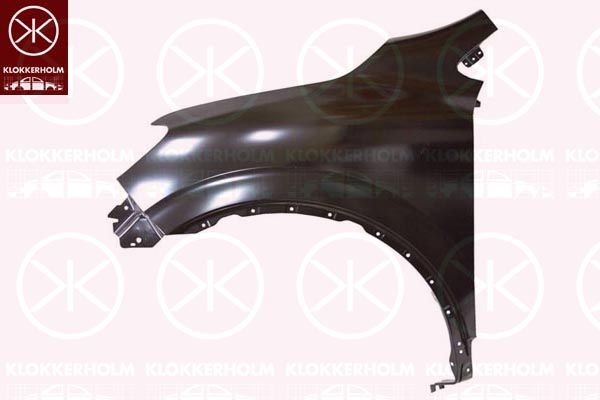 KLOKKERHOLM Parafango 6017312 6017312 costo Parafango KLOKKERHOLM RENAULT CLIO